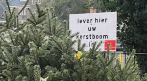 Ophaalplekken kerstbomen