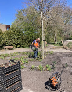 Houd het nieuwe groen in leven